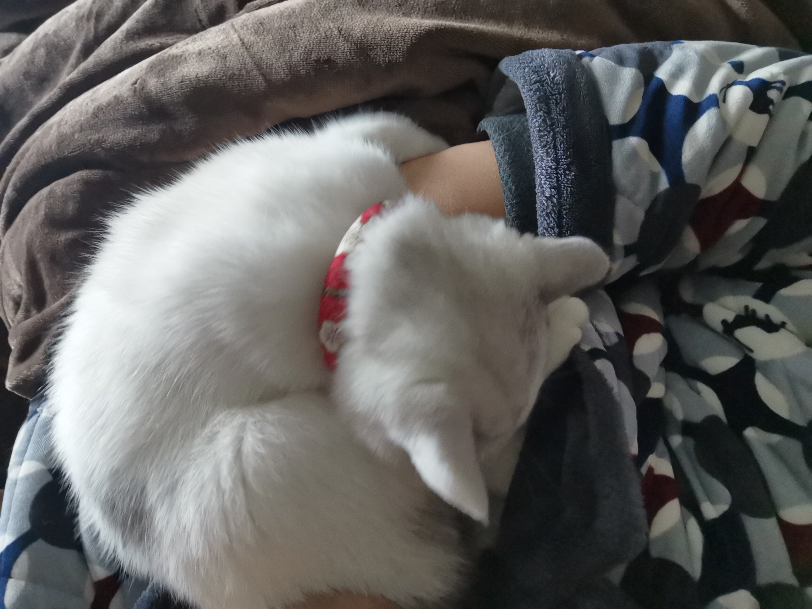 关于	扖讳E囈?顰mP$?熗.>傝9l?唁厧↑畚*LY賞e曛??秀的信息